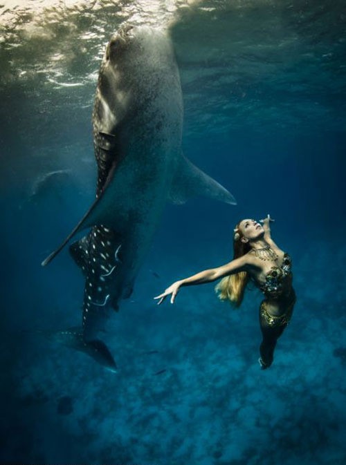 20130109 고래상어, 미녀 모델2.jpg 패션모델, 바다속 고래상어와 함께 사진을